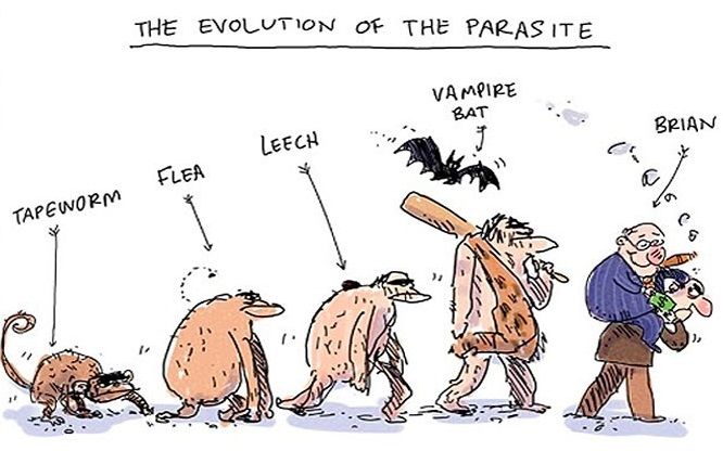 funny-satirical-evolution-charles-darwin-day__701.jpg