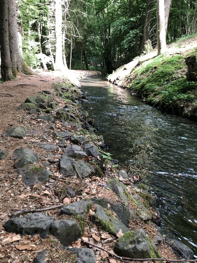 Primskanal bei Nonnweiler Marienhuette