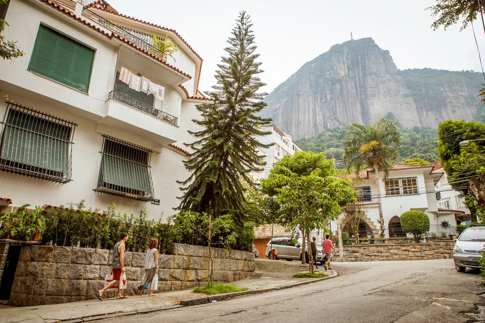 1_-_stock-photo-rio-de-janeiro-jardim-botanico-by-eduardozappia-146511499_HR1 (1).jpg