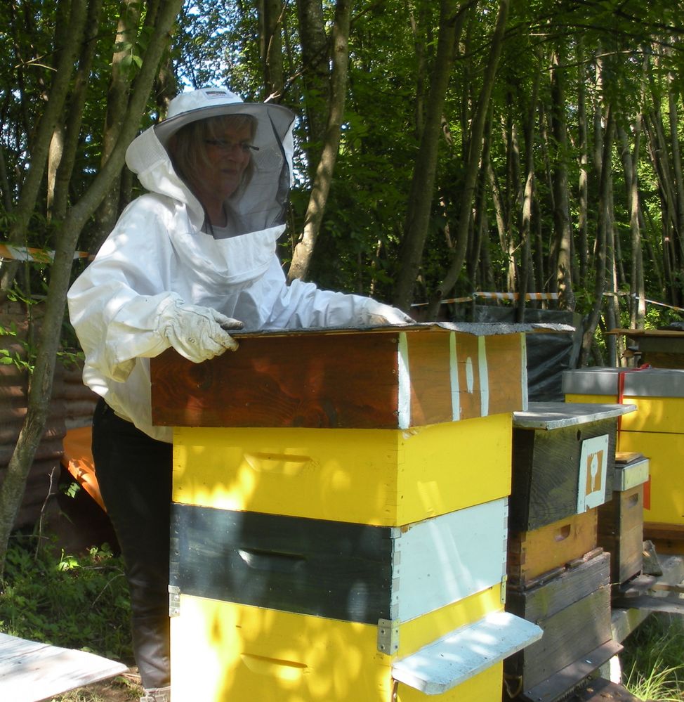 ruche avec les hausses qui sont le grenier du miel