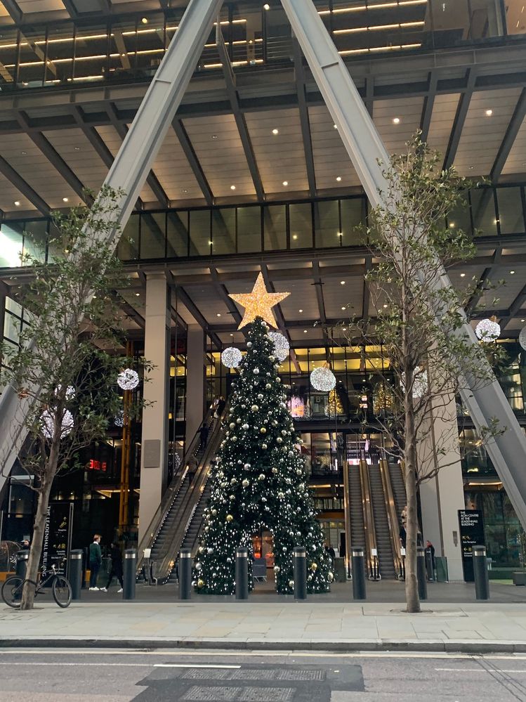 Albero a pochi passi dal grattacielo chiamato Gerkin (il cetriolino sott'aceto)