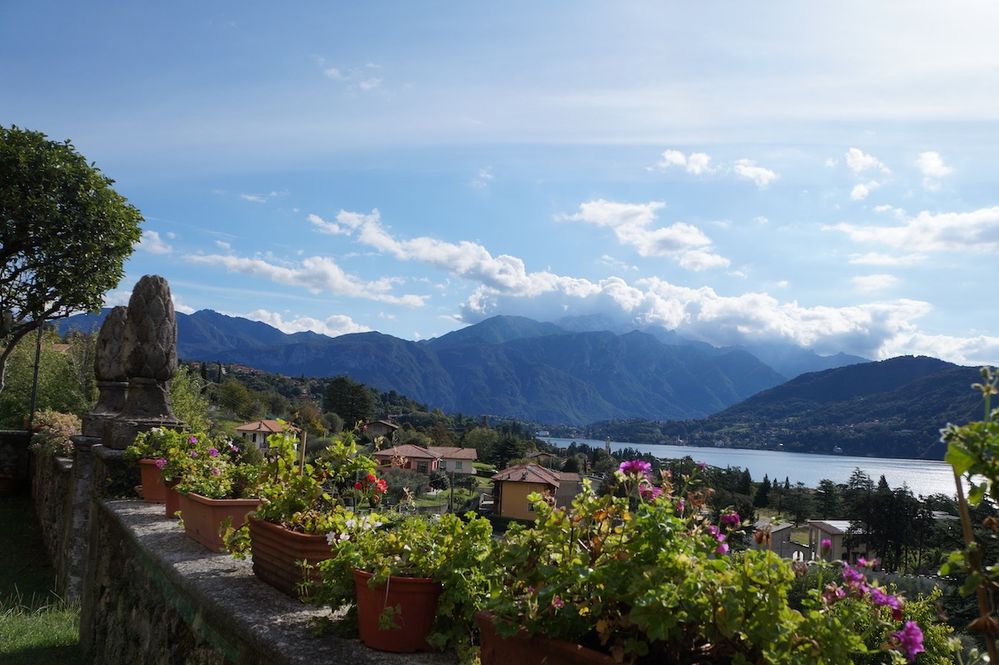 Piante e Lago di Como