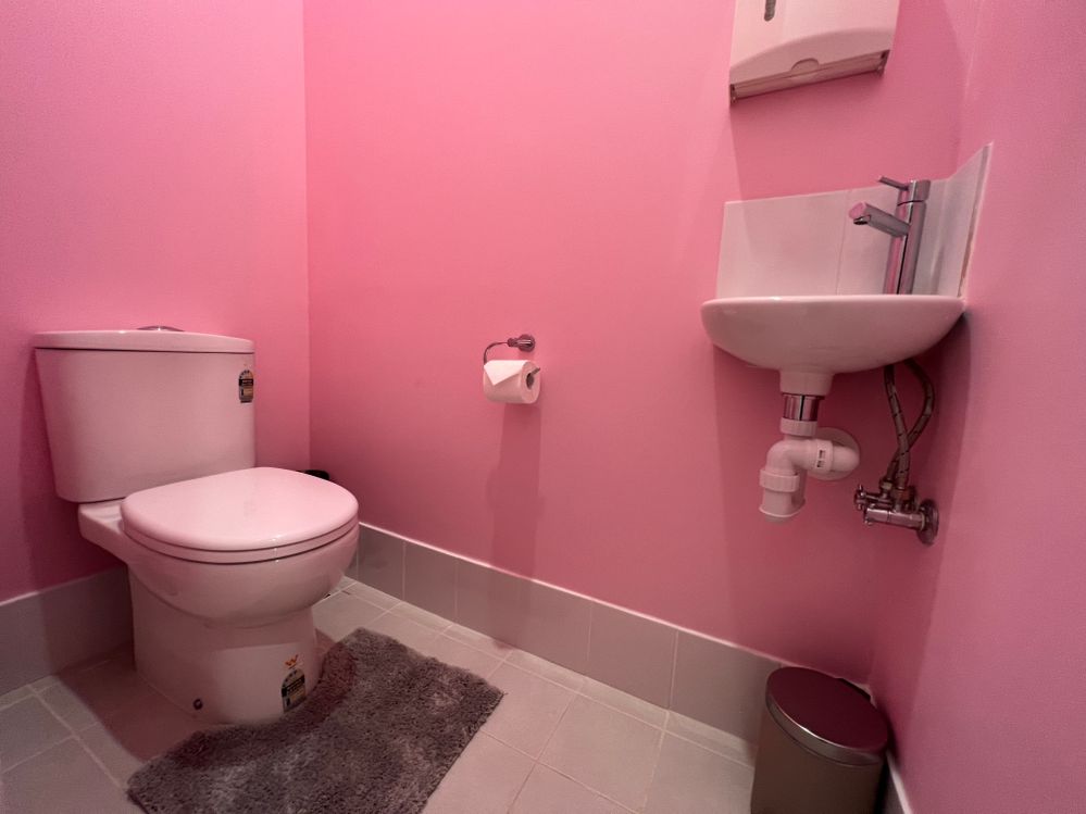 Powder room walls painted pink.