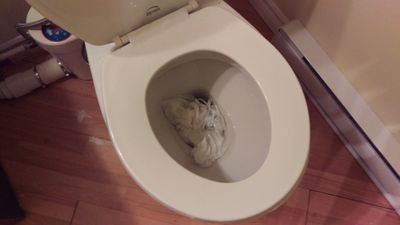 Toilet_clogged.jpg