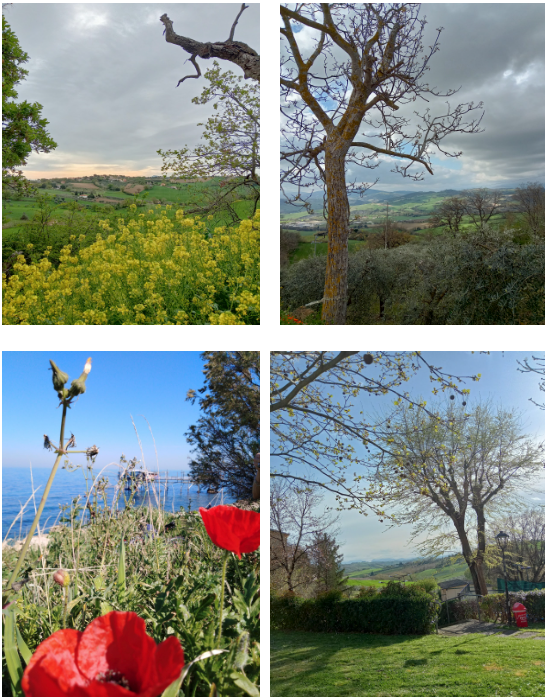 Screenshot 2023-04-21 at 18.25.10.png Screenshot 2023-04-21 at 18.25.10.png