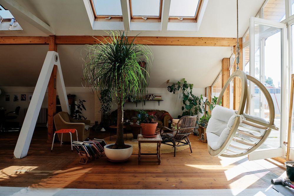 piante vere finte arredare tuo bnb alloggi airbnb manutenzione.jpg