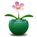 potted flower image.png