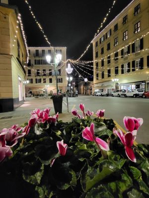 fiori.jpg